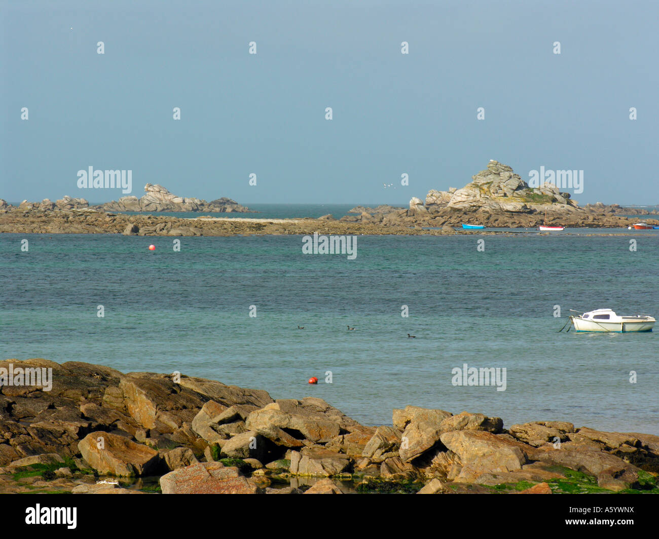 stony coast in Santec near by Roscoff in Finistere Brittany France ...