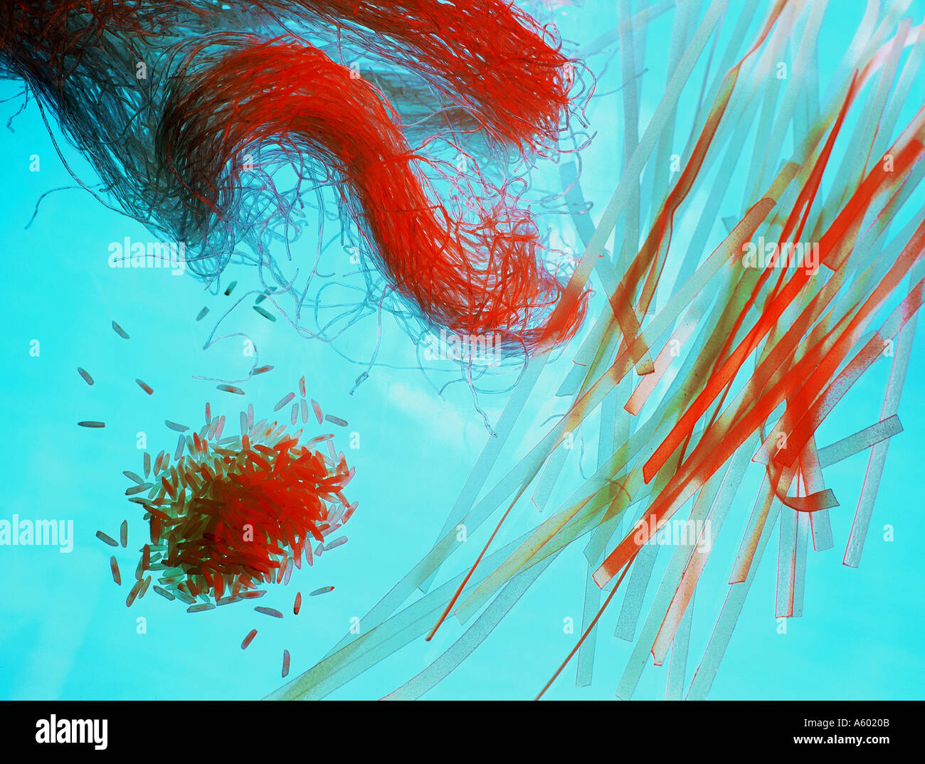 Rice Noodles and Rice Stock Photo Alamy