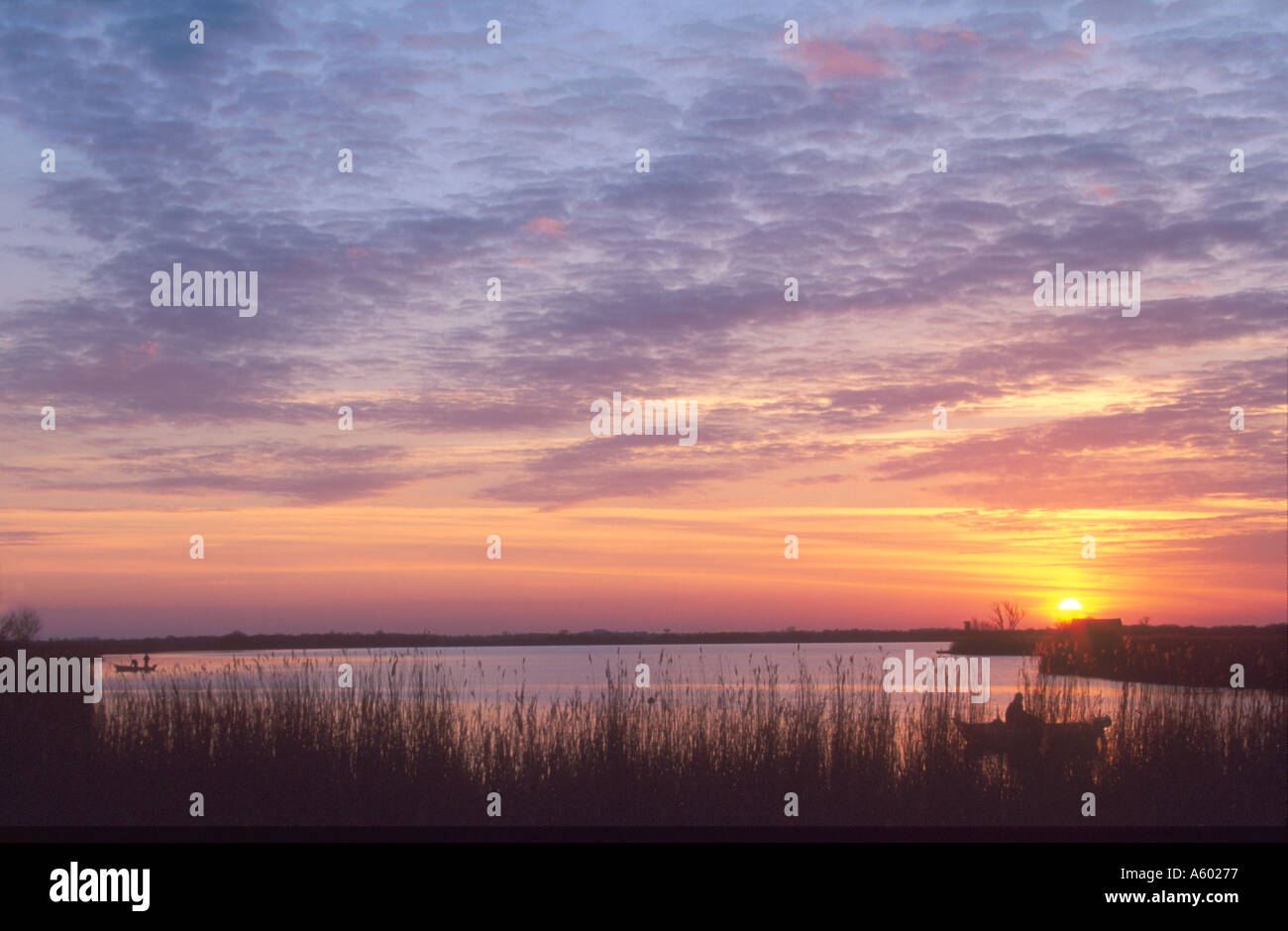 FISHING FOR PIKE AND SUNSET OVER HORSEY MERE NORFOLK EAST ANGLIA ...