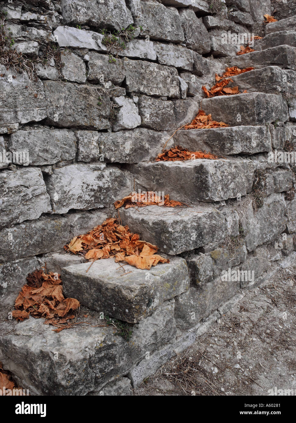 Stairs in an old wineyard Stock Photo