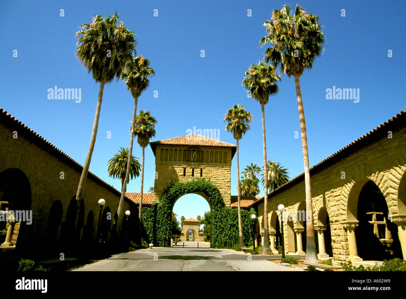 California Stanford Stanford University campus Stock Photo Alamy