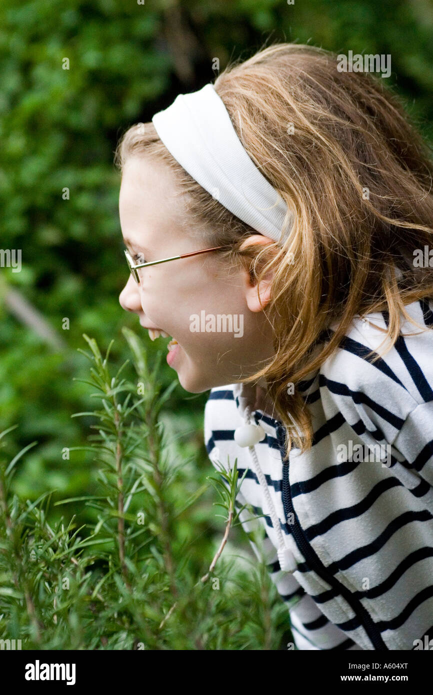 Child garden smelling herbs hi-res stock photography and images - Alamy