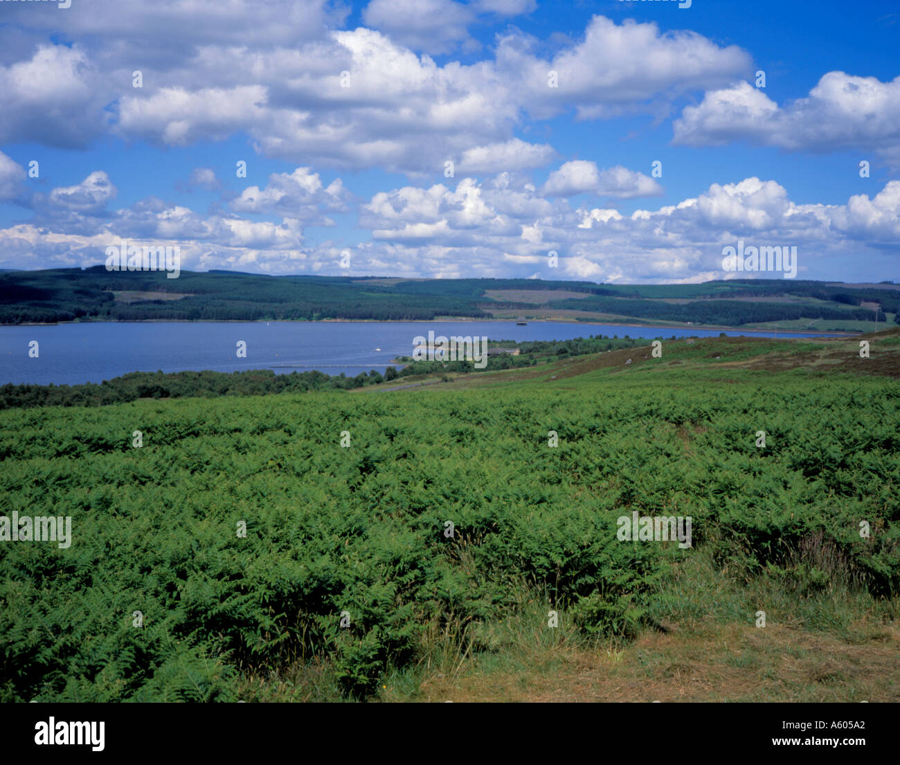 View over Tower Knowle visitor centre and Kielder Water, Northumberland ...
