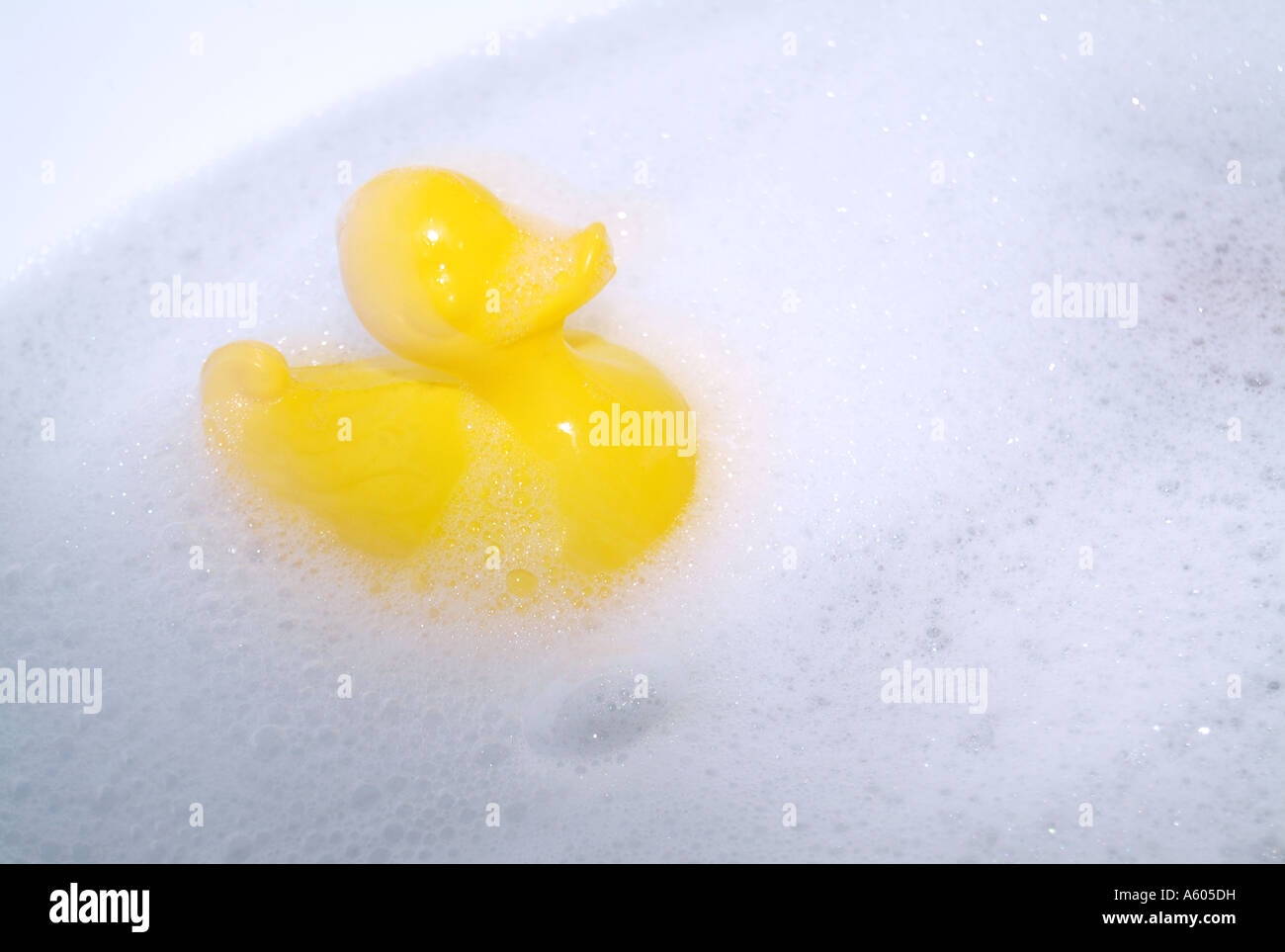 Duck floating in bubble bath hi-res stock photography and images - Alamy