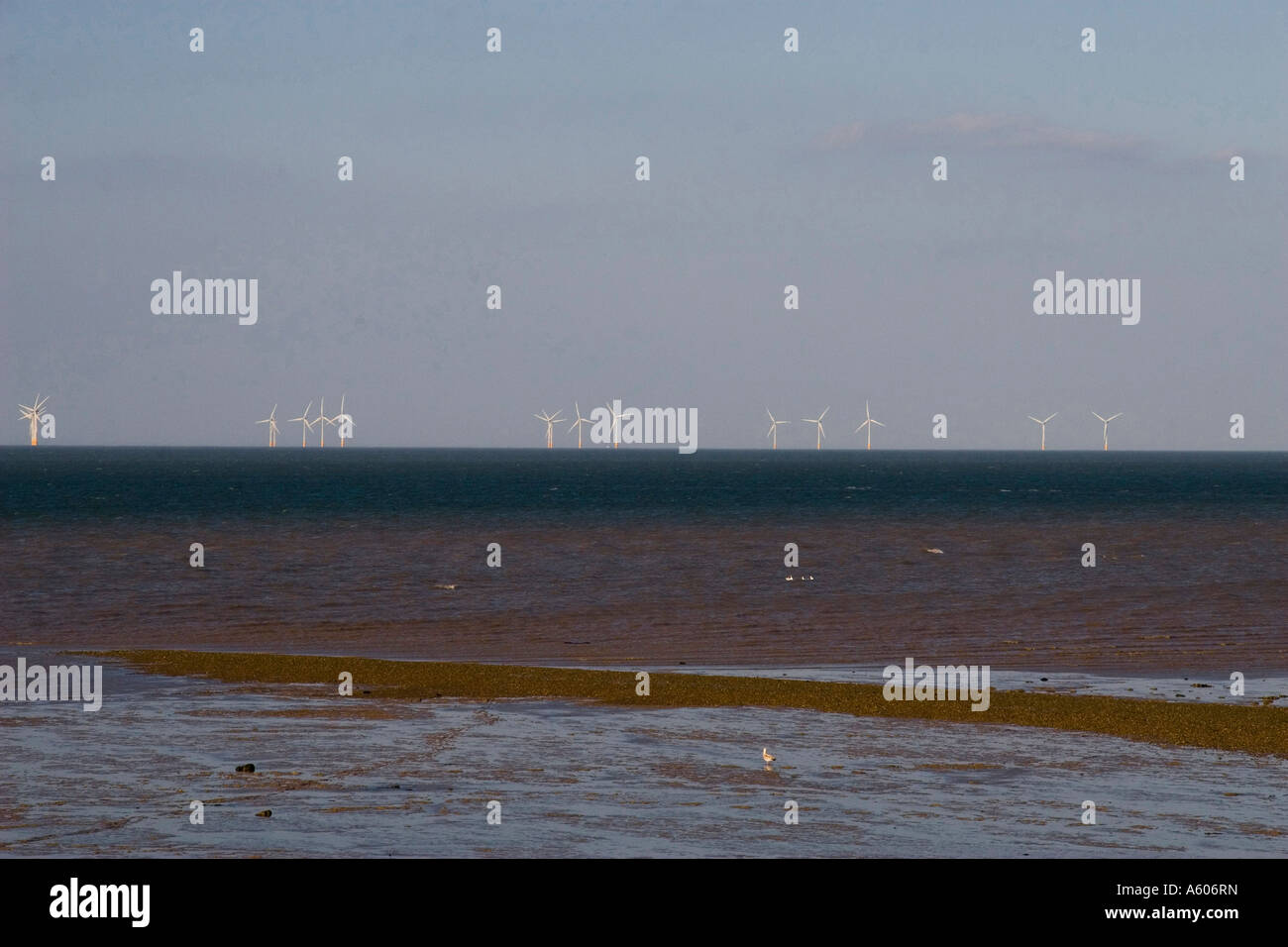 Thames Estuary Wind Farm Hi Res Stock Photography And Images Alamy   Wind Turbines In The Thames Estuary Looking North From Whitstable A606RN 