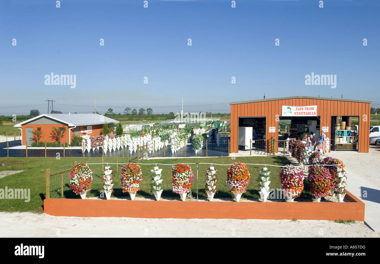 U Pick farm fresh healthy hydroponically grown plants freshness upick