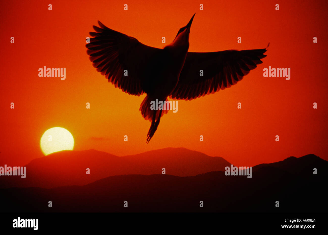 The night flight hi-res stock photography and images - Alamy