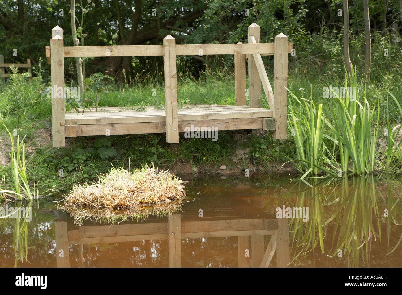 bale of barley straw in a school pond to clear algae and algal bloom
