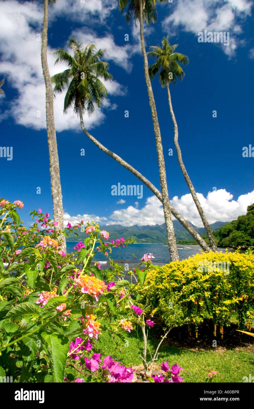 Tropical flowers and palm trees on the island of Tahiti Stock Photo