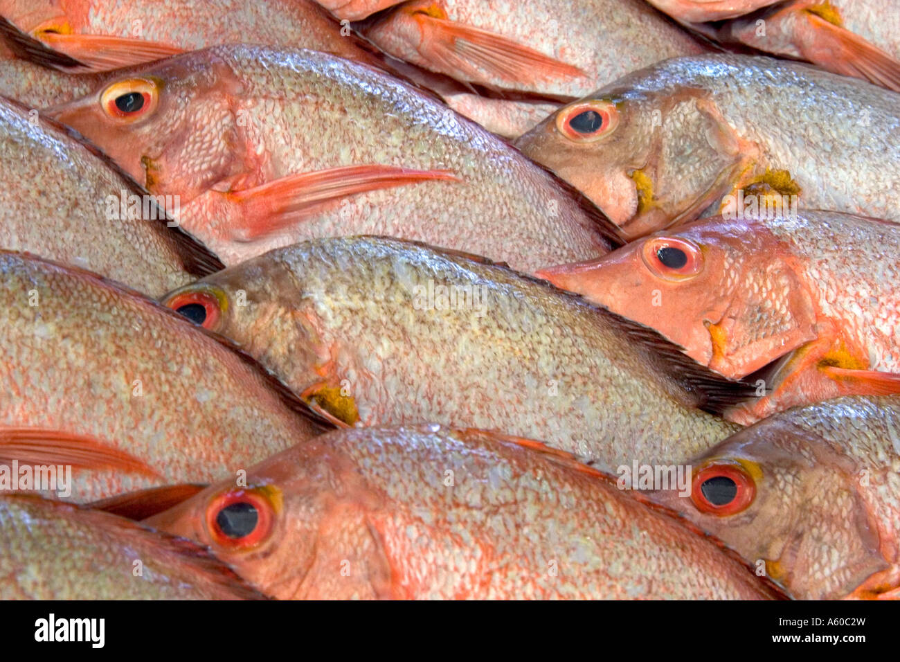 Display of fish at a market in Papeete on the island of Tahiti Stock Photo