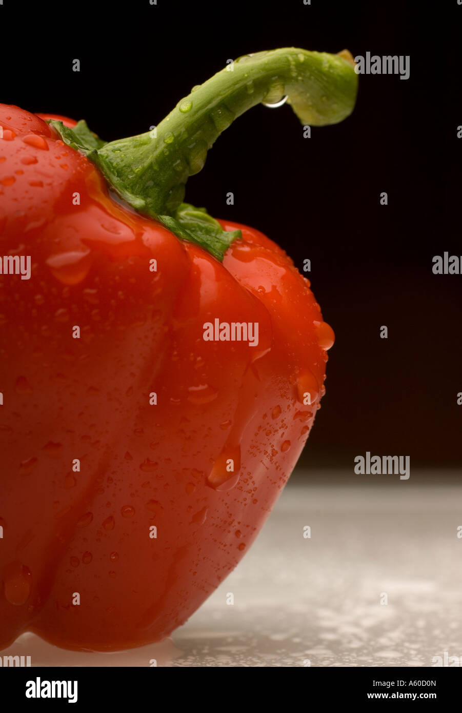 Red pepper with water droplets Stock Photo