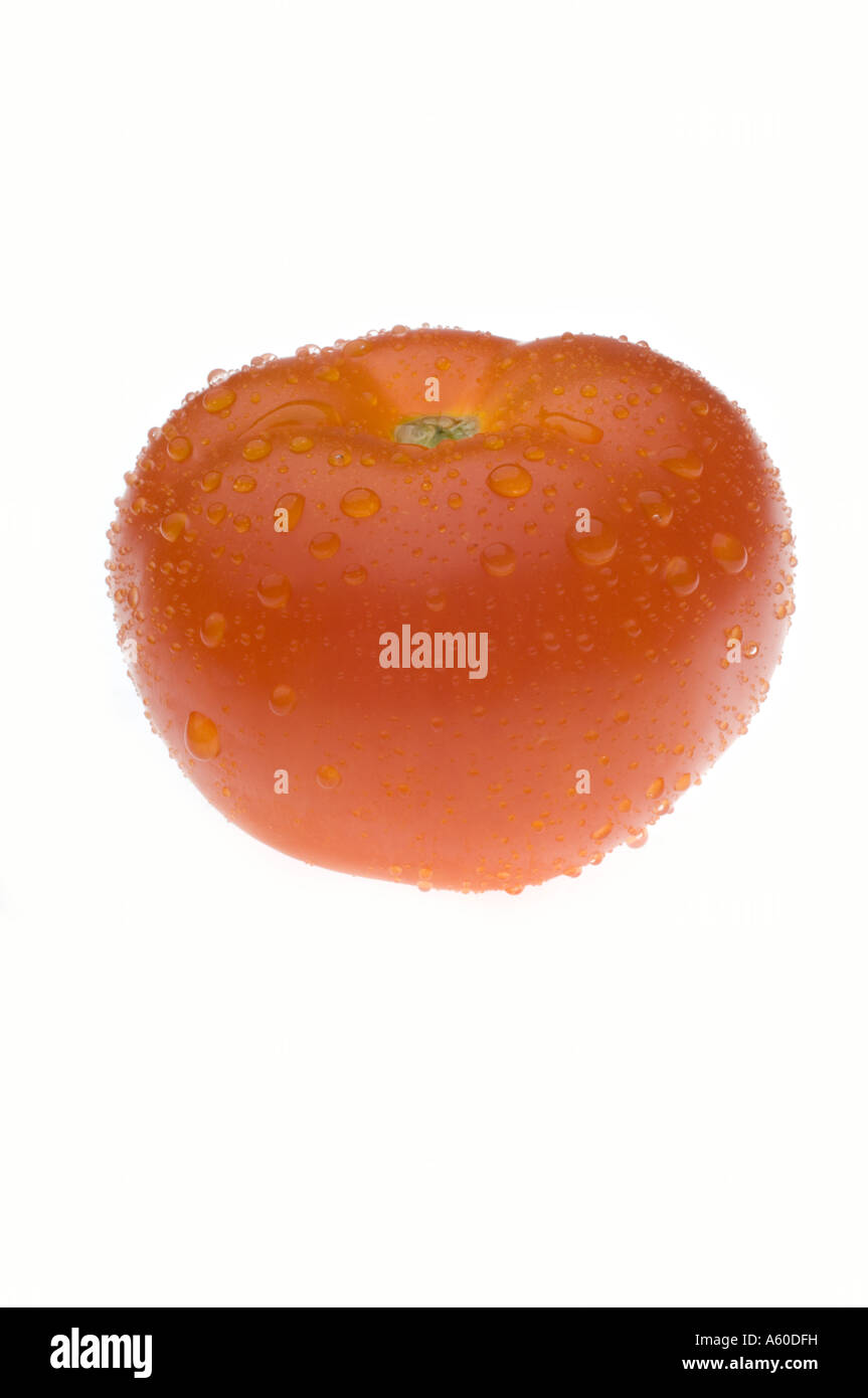 Tomato on white background with water droplets Stock Photo - Alamy