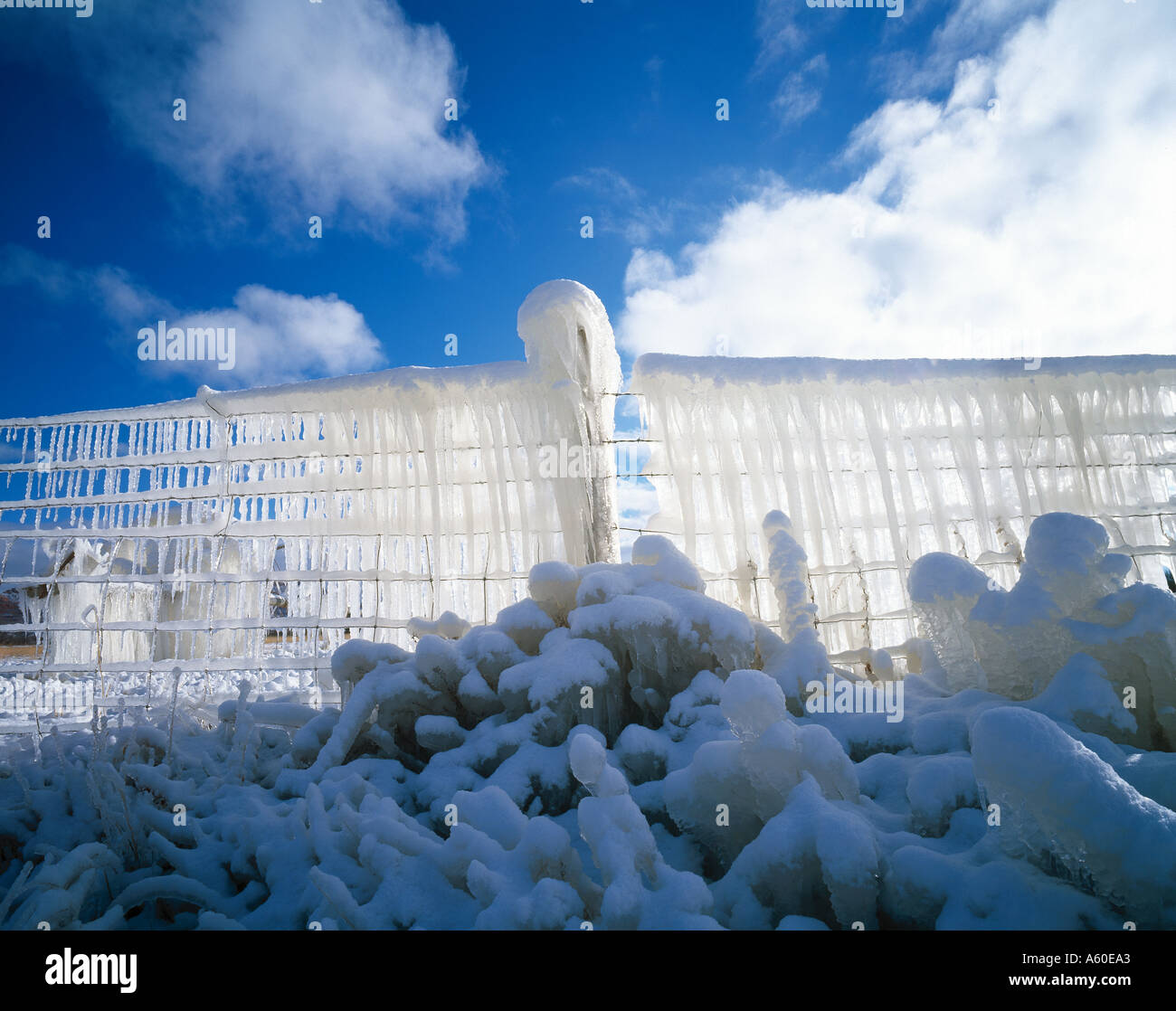 Ice on barbed wire, Utah, USA Stock Photo