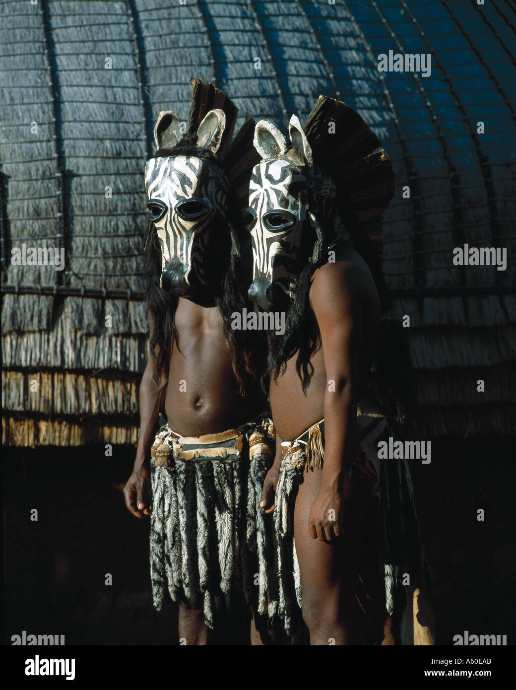 Zulu dancers, South Africa Stock Photo