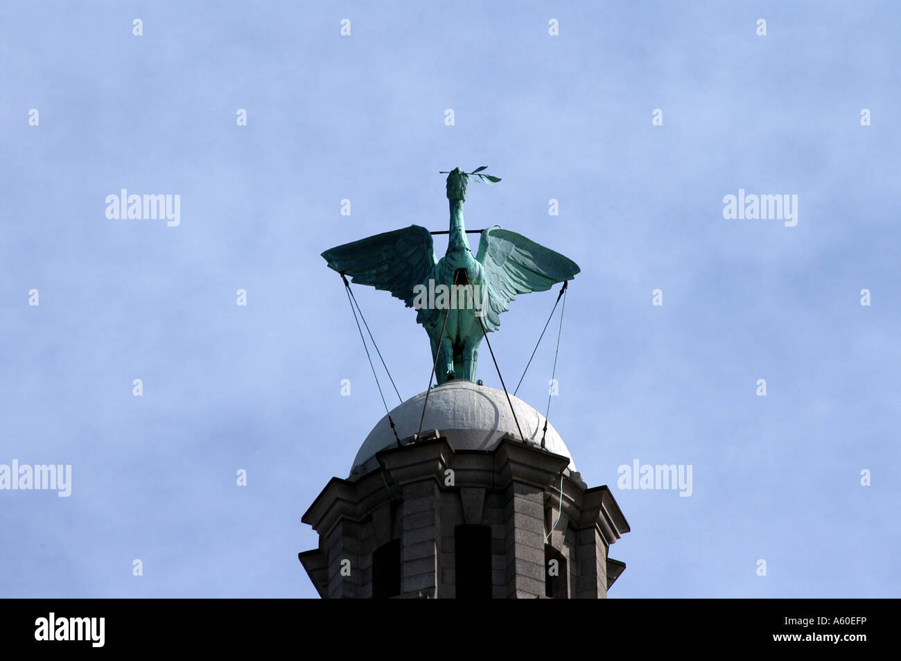 THE LIVER BIRD ON TOP OF THE ROYAL LIVER BUILDING LIVERPOOL MERSEYSIDE ENGLAND CITY OF CULTURE 2008 Stock Photo