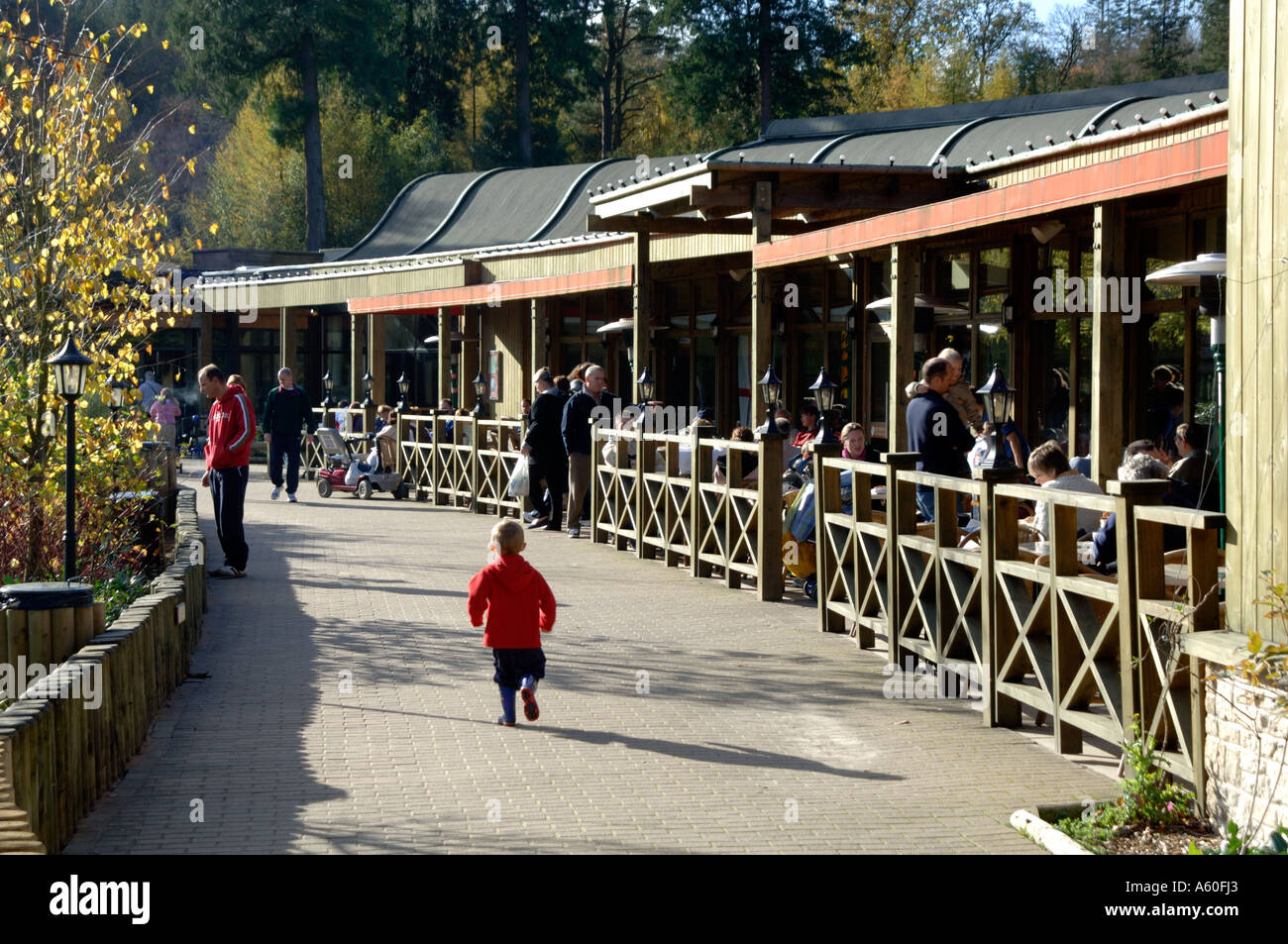 Centre Parcs, Longleat, England, UK, Europe Stock Photo