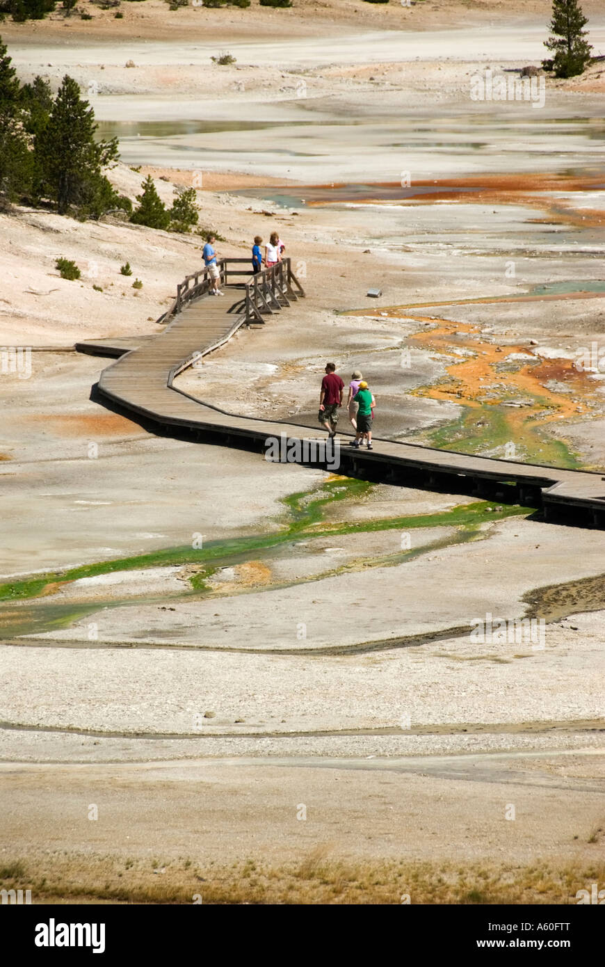 Yellowstone Path Bridge path walk nature hi-res stock photography and images - Alamy