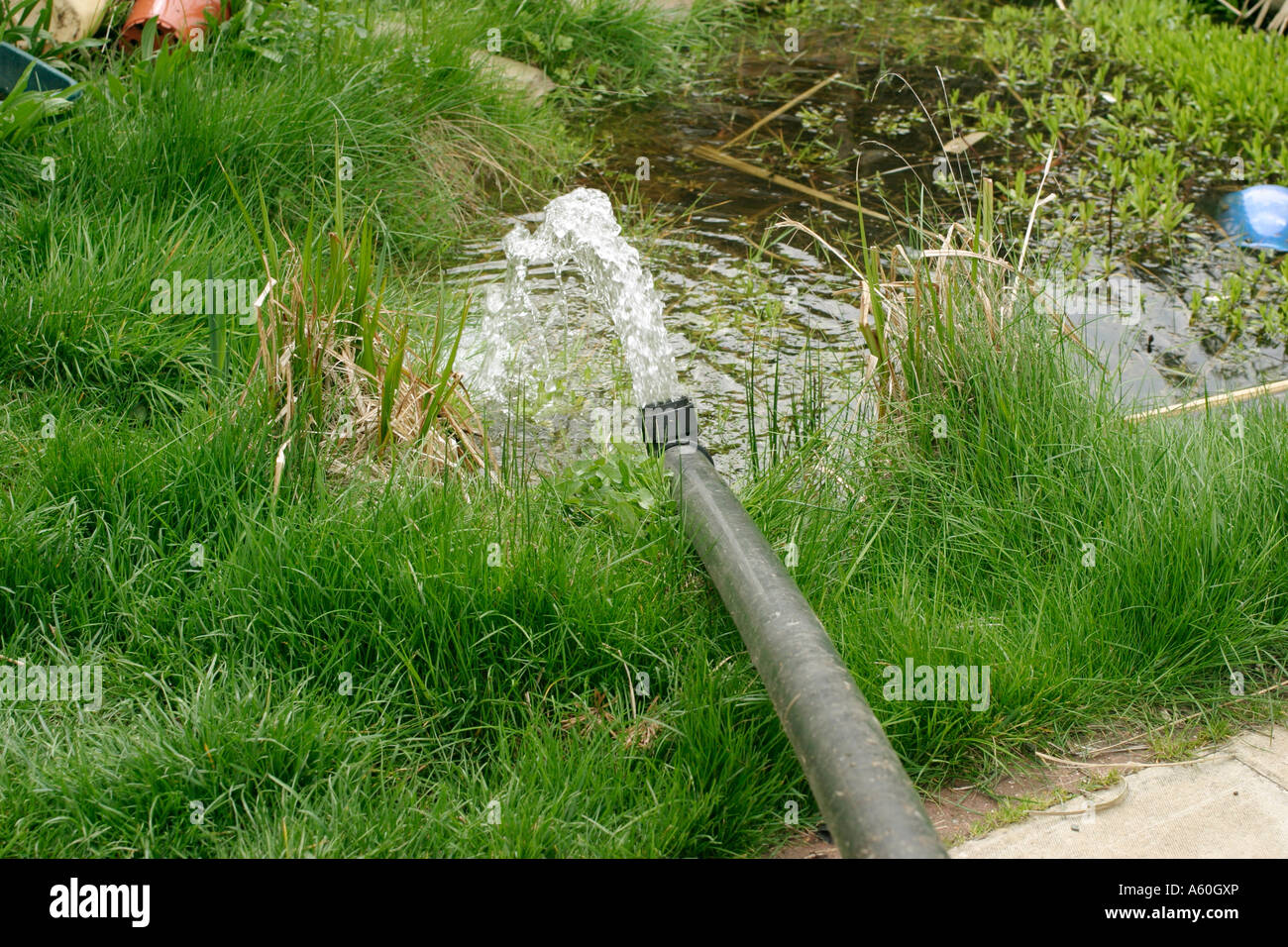 LEAKING POND STEP2 PUMP OUT WATER TO BELOW POSITION OF DAMAGE Stock