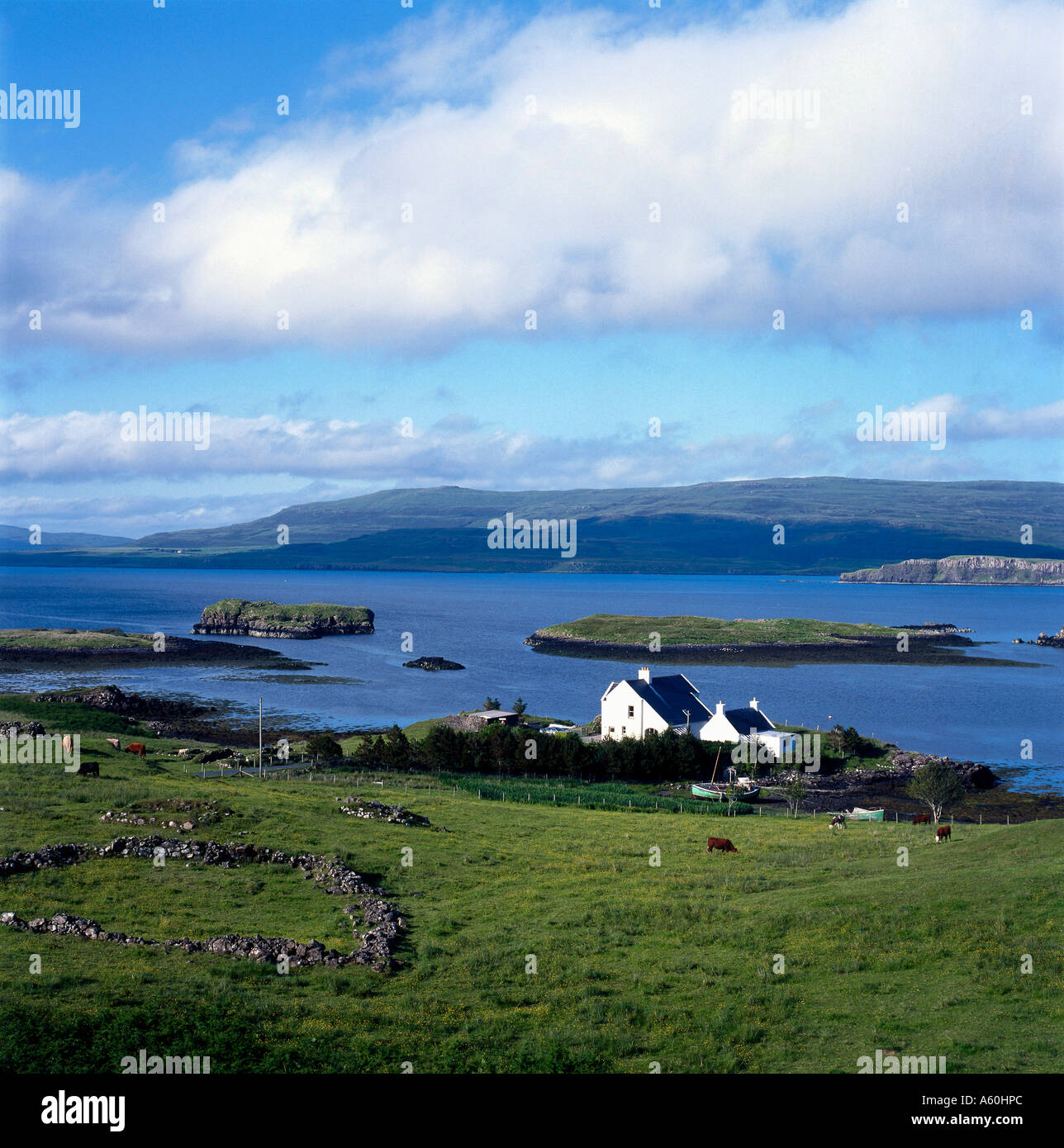 Houses at coast, Duirinish Peninsula, Isle of Skye, Scotland Stock