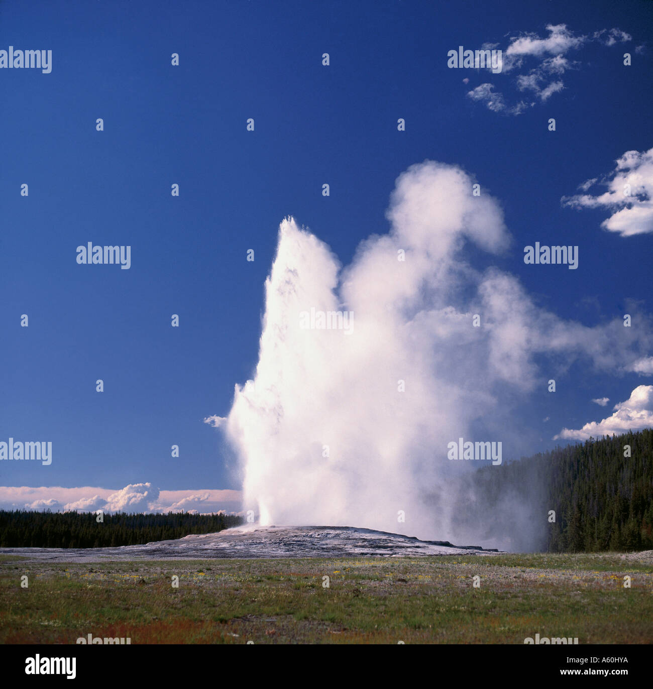 Geyser Examples Water eruption from geyser, Old Faithful, Yellowstone National Park ...