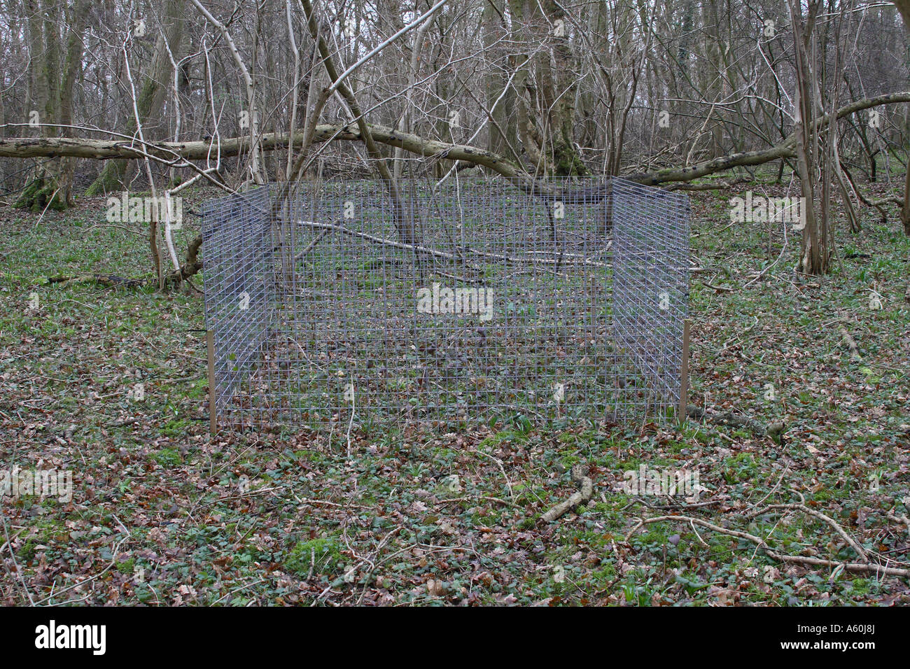 WIRE CAGE USED TO PROTECT RARE PLANTS FROM DEER AND RABBITS IN ...