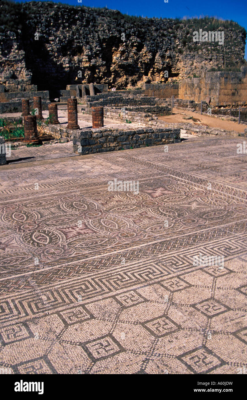 Painet gv1182 15 house swastikas mosaic design conimbriga beira portugal aged ancient antiquated antique archaic bygone Stock Photo