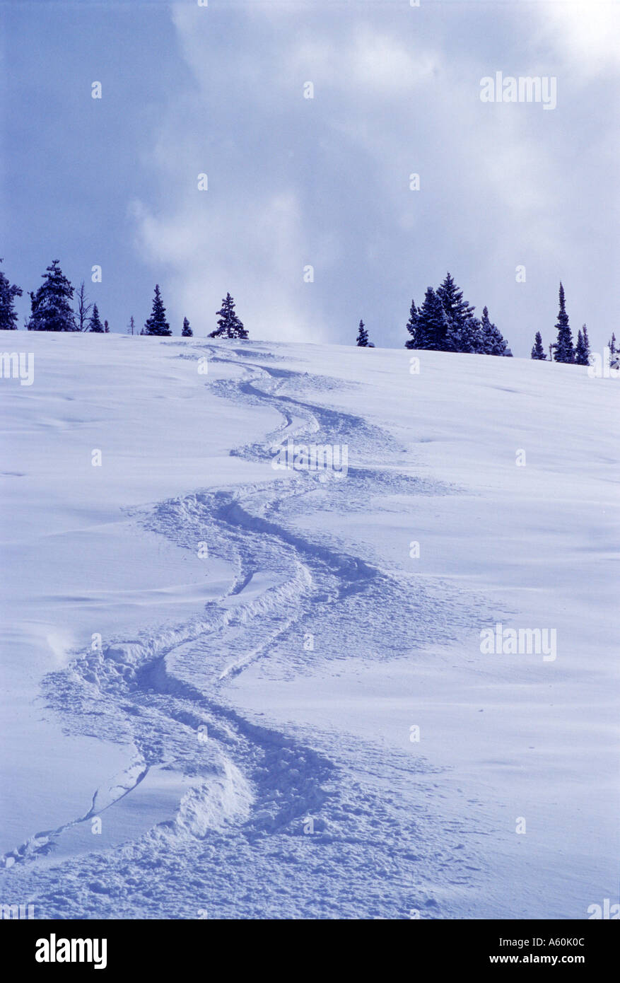 Fresh Ski Tracks In New Powder Snow In Crested Butte Colorado Stock Photo Alamy