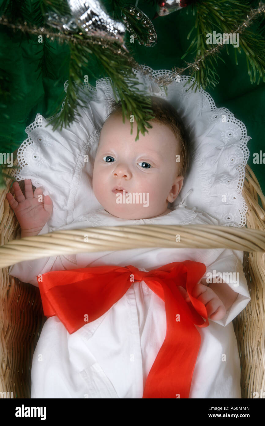BABY IN A BASKET UNDER CHRISTMAS TREE Stock Photo Alamy