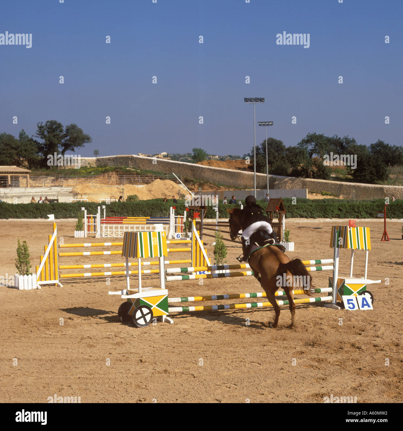 Horse and rider participating in a jumping competition at the Son Gual