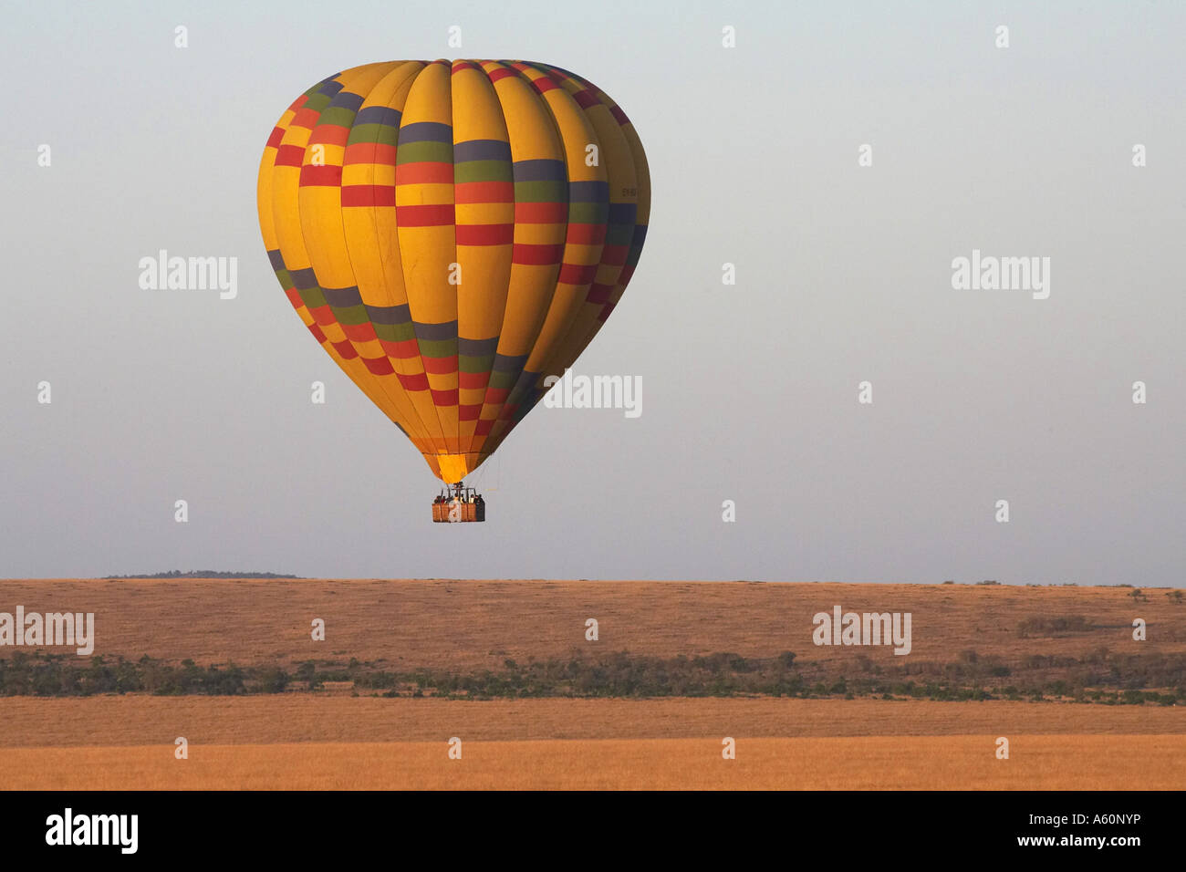 hotair balloon safari, Kenya, Masai Mara National Reserve Stock Photo