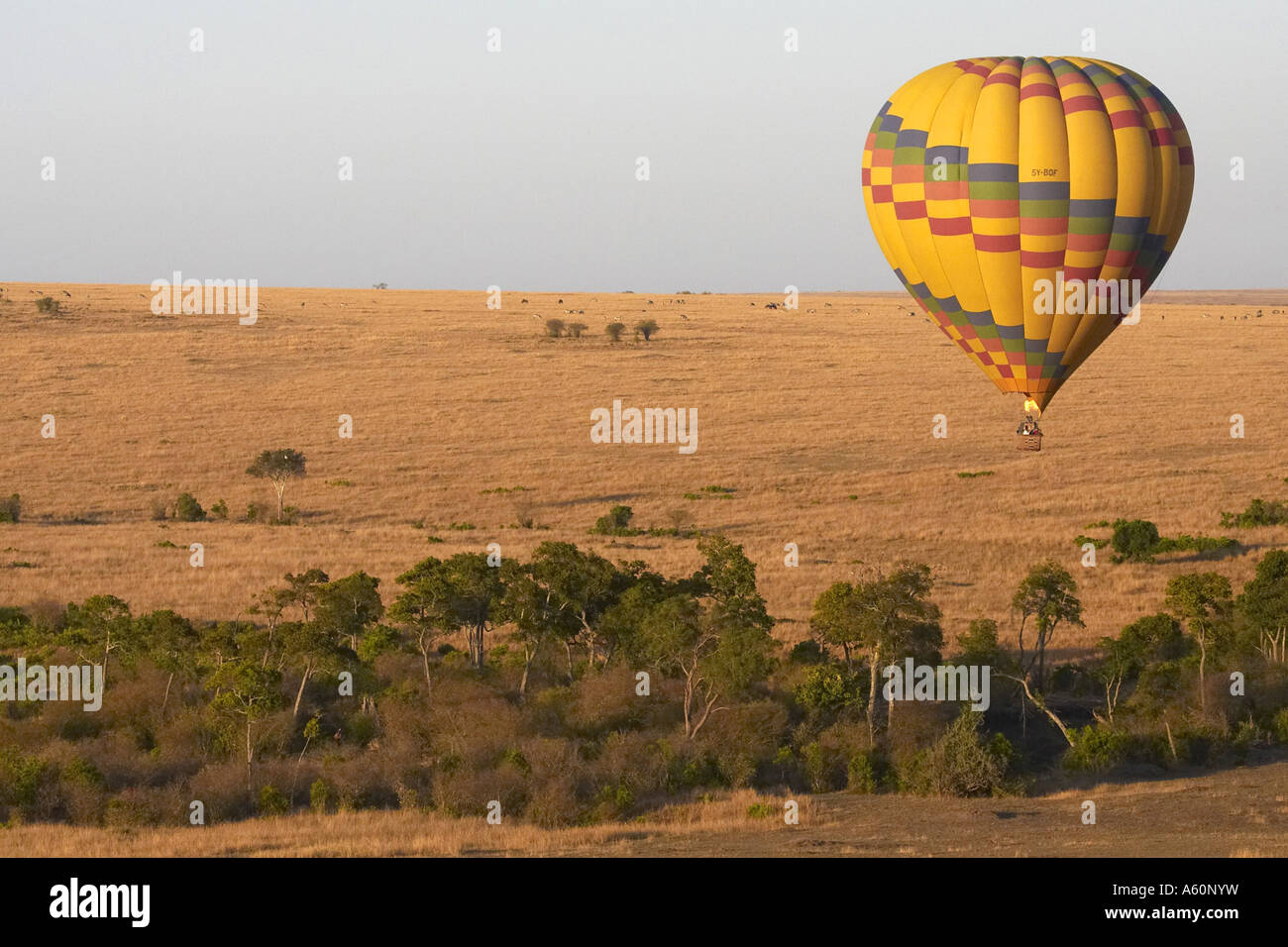 hotair balloon safari, view on Talek river, Kenya, Masai Mara National