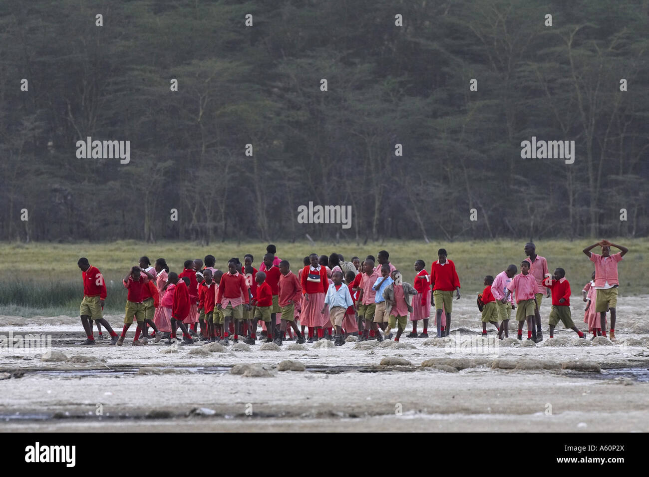 School uniforms kenya hires stock photography and images Alamy