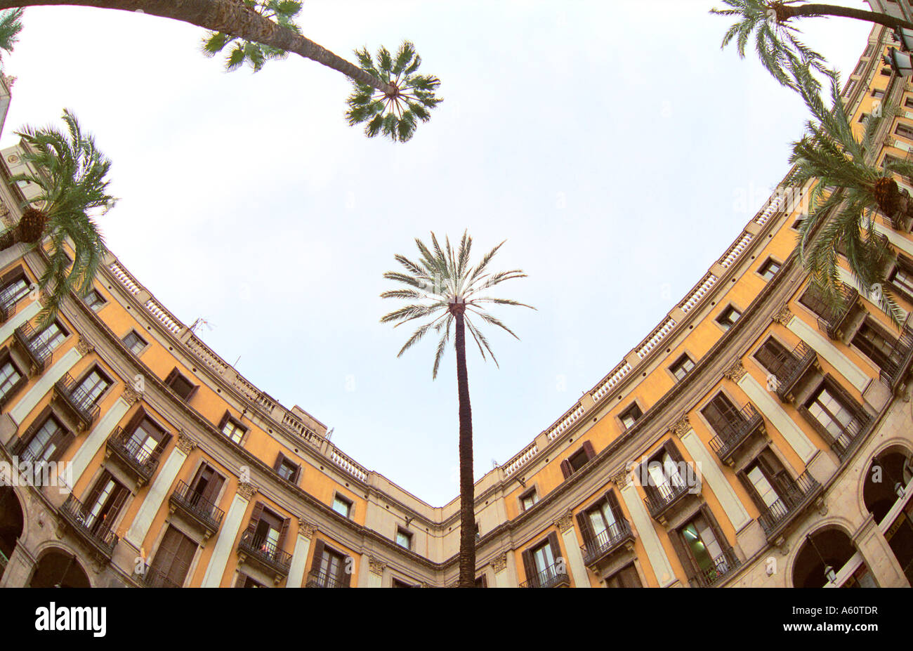 Plaza Real in Barcelona, Spain Stock Photo