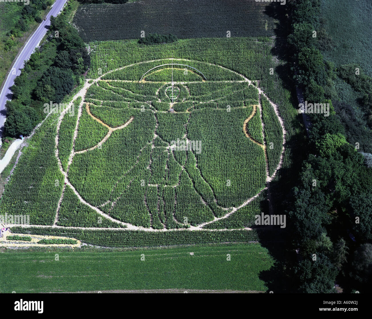 Vitruvian Man from Leonardo da Vinci, cornfield labyrinth, Germany, Bavaria, Scala-Dei, Utting, Schondorf Stock Photo