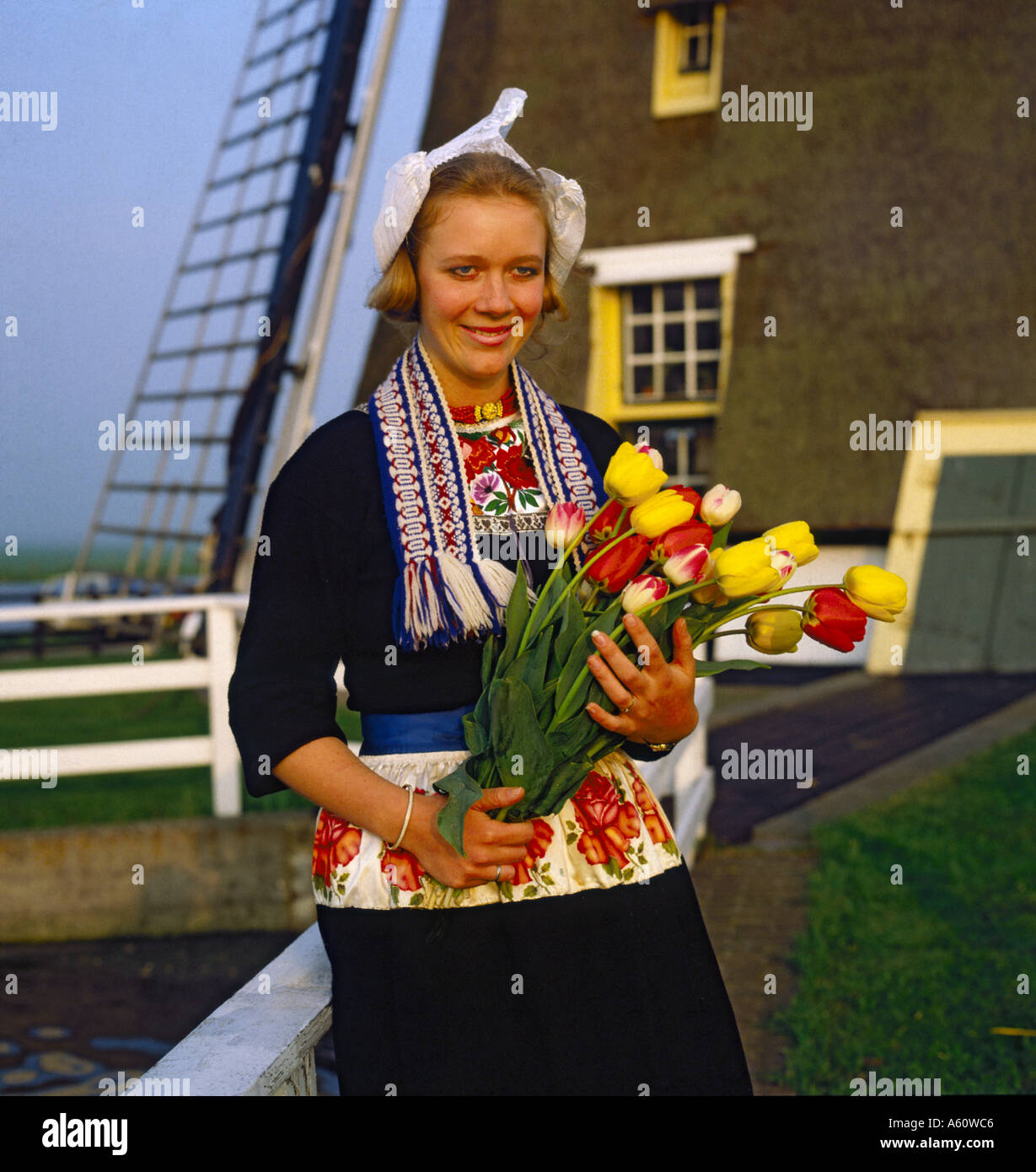 Young Dutch girl in traditional dress holding bunch of yellow and red ...
