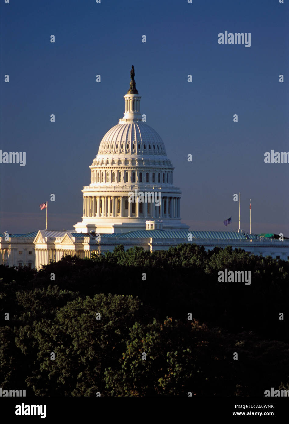 U.S. Capitol Building, Washington, D.C. Stock Photo