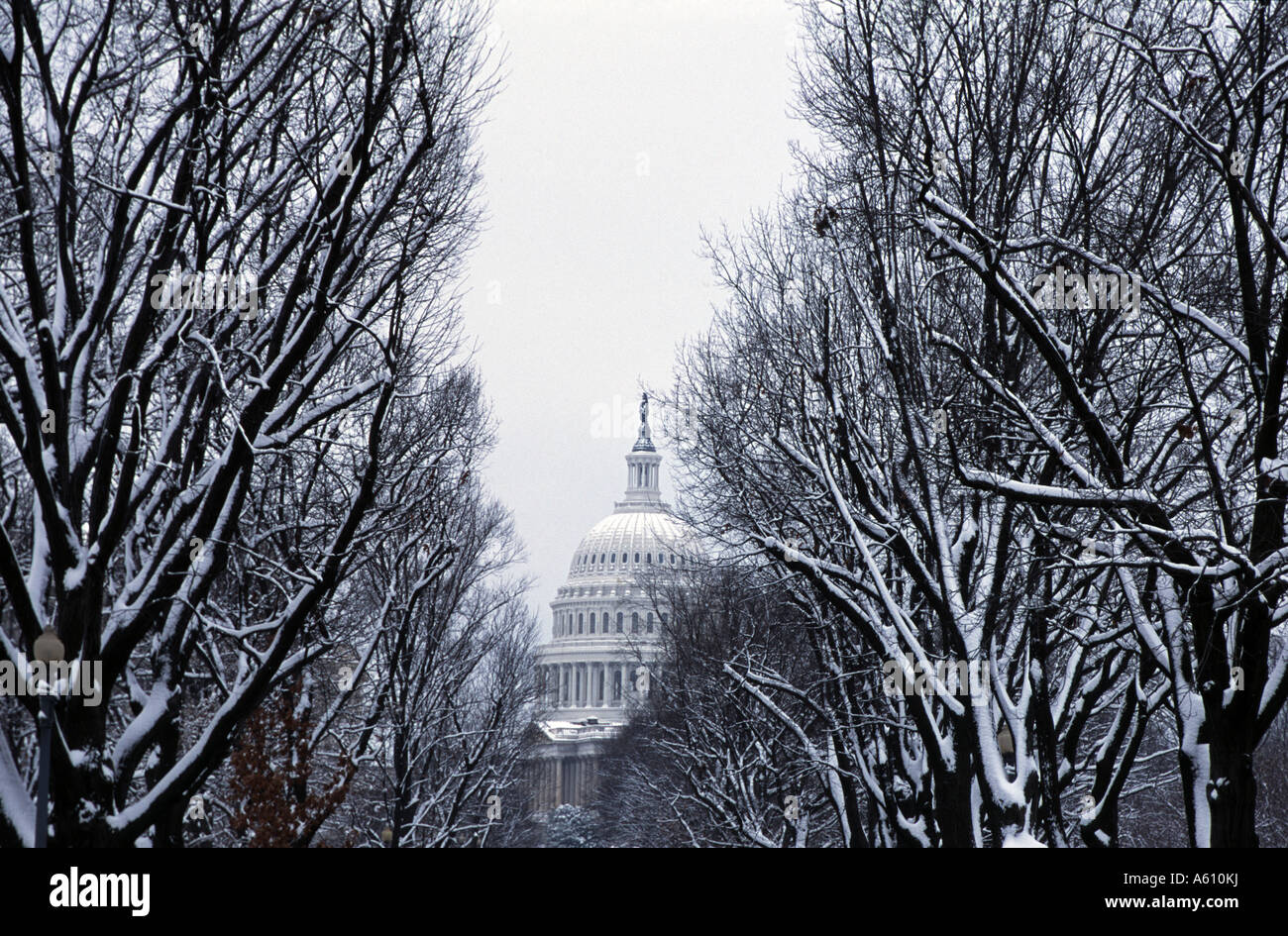 Dome of U.S. Capitol Building Washington, D.C. Stock Photo
