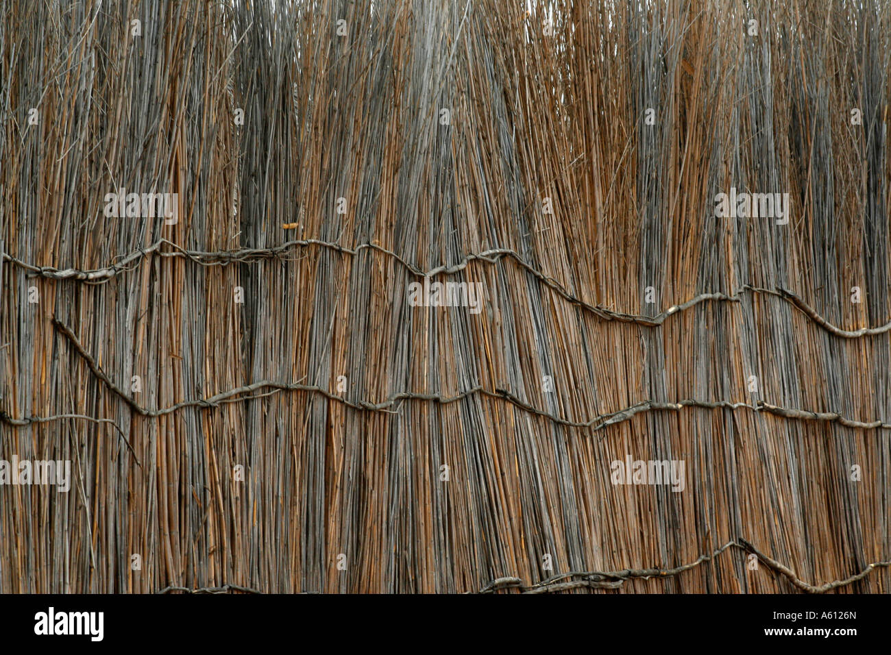 Painet jj1794 namibia detail fencing nyangana small village mission station north country angolan border 2 africa subsahara Stock Photo