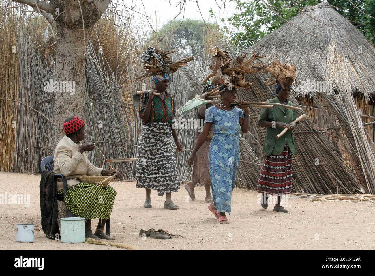 Africa Burkina Fasoview Of Overloaded African Vehicle Carrying Firewood  Logs High-Res Stock Photo - Getty Images