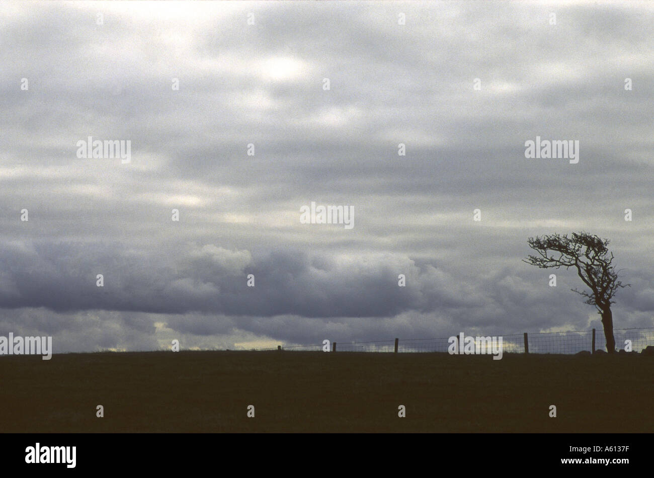 Tallentire hires stock photography and images Alamy