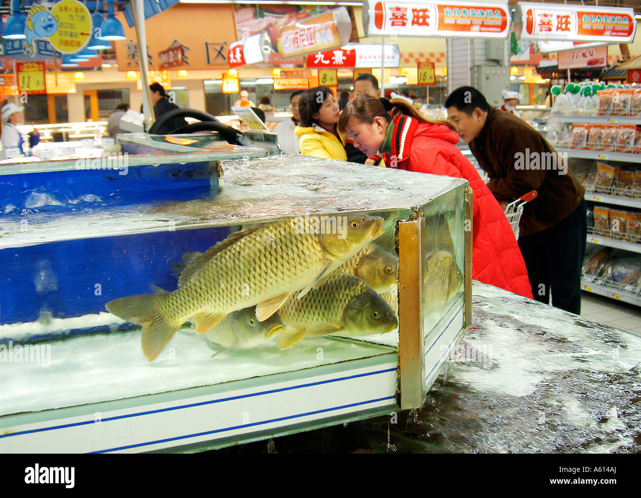 Taiwanese KT Mart store in city of Jinan, Shandong Province, China. Customers select fresh live fish from tanks Stock Photo