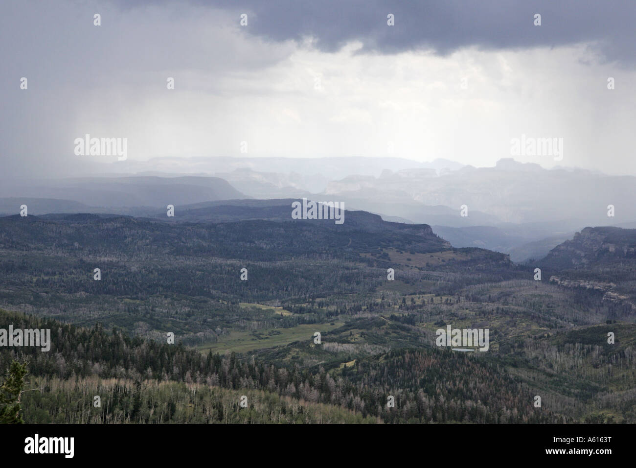Heavy rain over mixed forest Utah USA Stock Photo