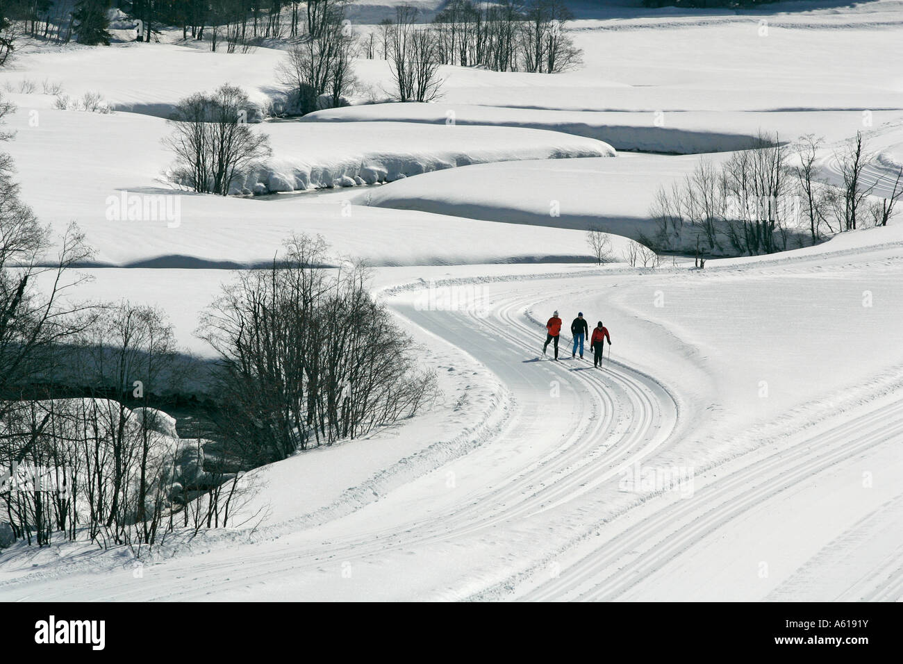 Ski-touring people in Valepp at Spitzingsee, Bavaria, Germany Stock Photo