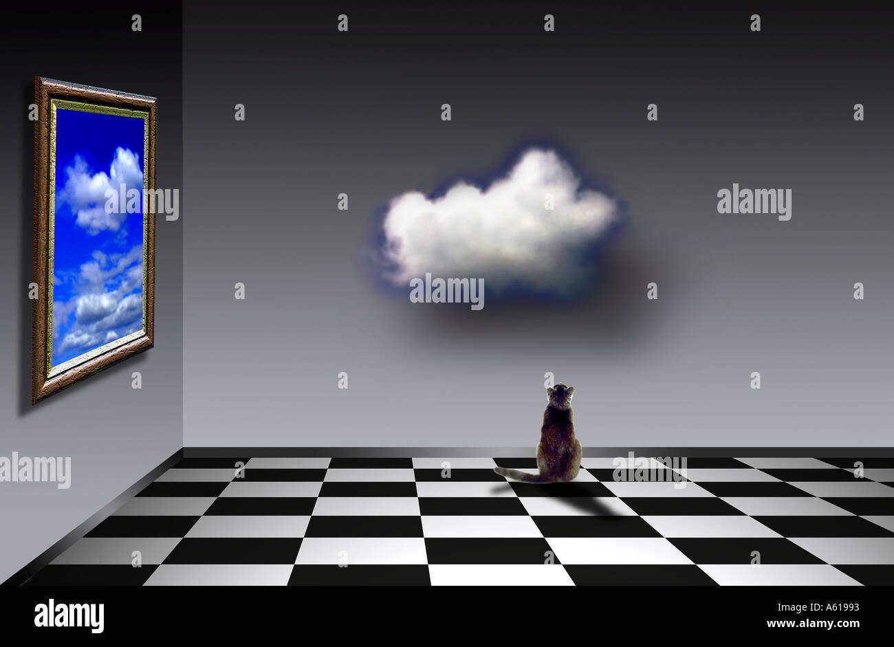 Création cloud hi-res stock photography and images - Alamy