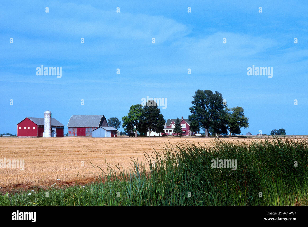 Farm with houses in background, Sebewaing, Highway M25, Huron County