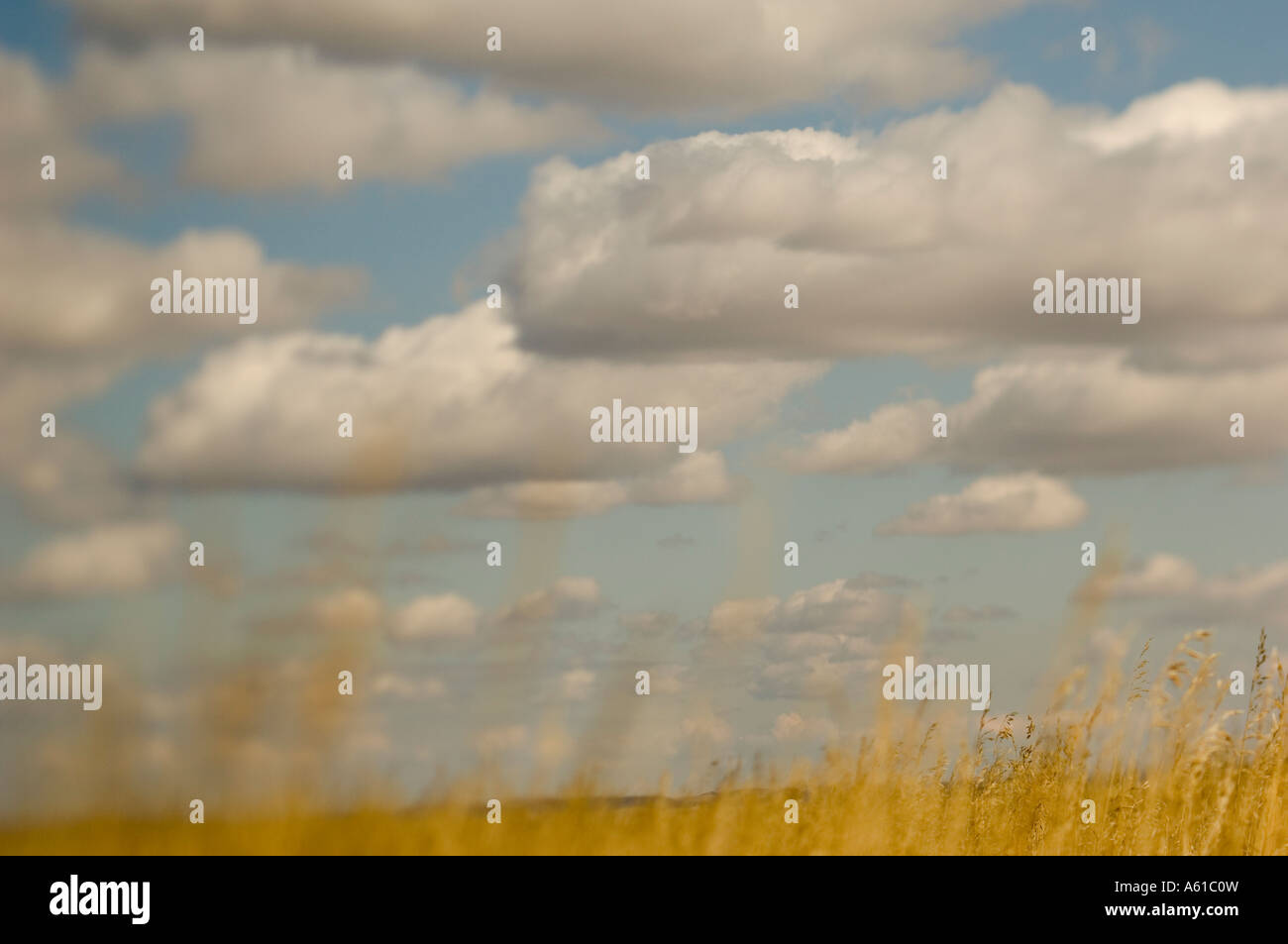 Grasslands at Theodore Roosevelt National Park North Dakota Stock Photo