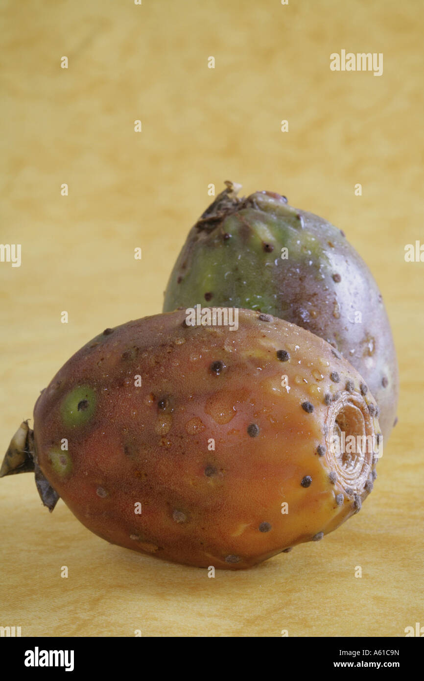 Prickly pears (Opuntia ficus-indica) Stock Photo