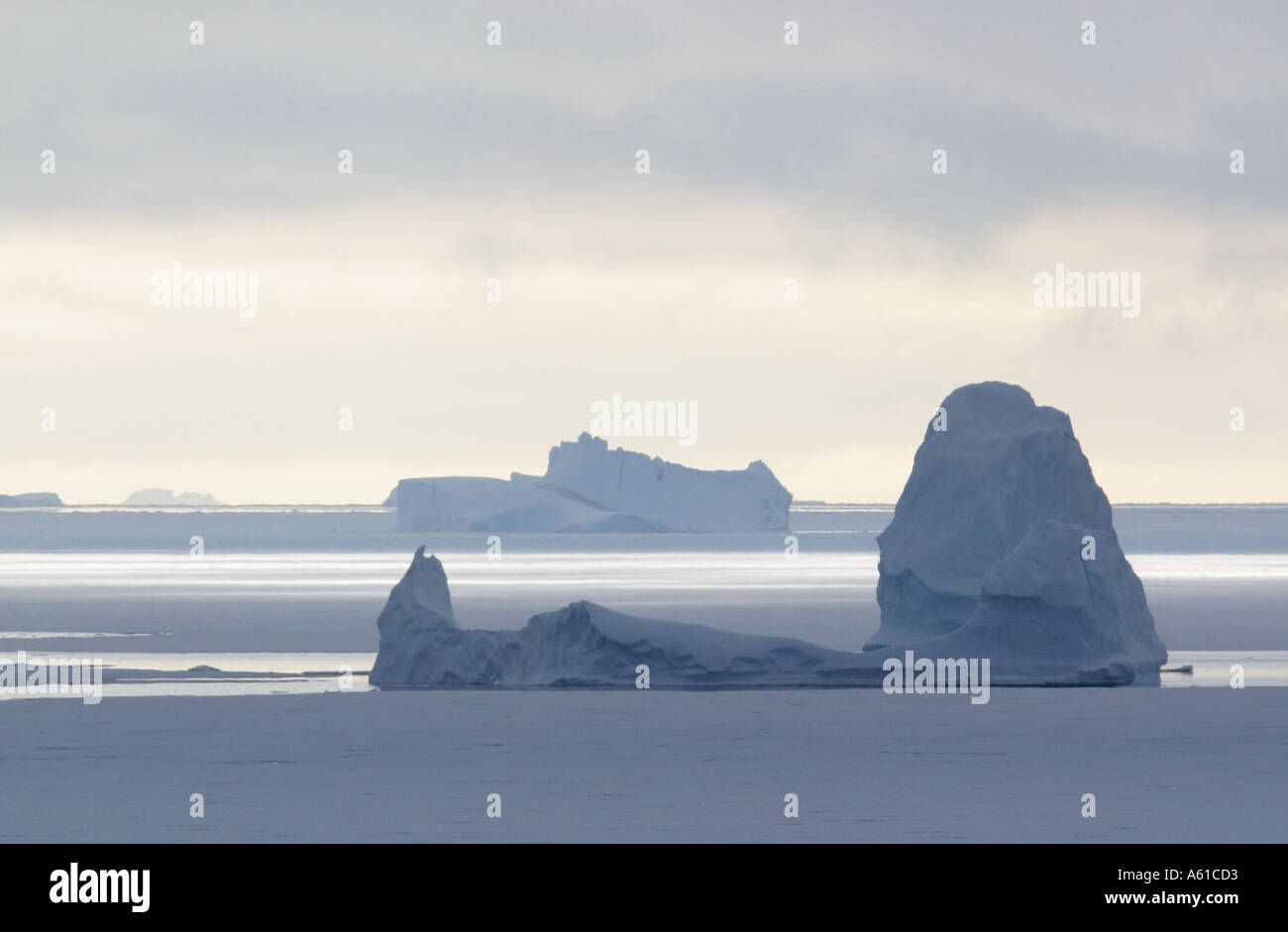 Icebergs Thule Greenland Stock Photo Alamy