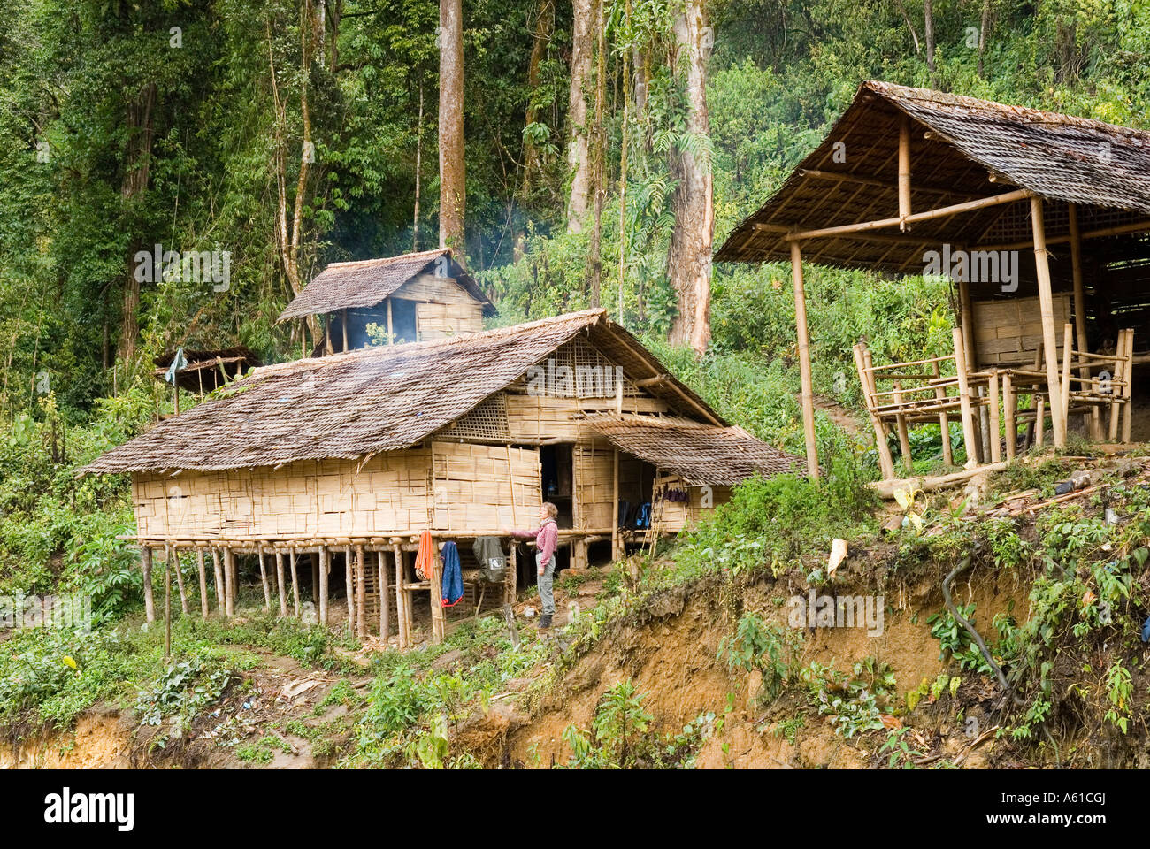 Woodcutters camp in the rainforest, Kachin State, Myanmar Stock Photo