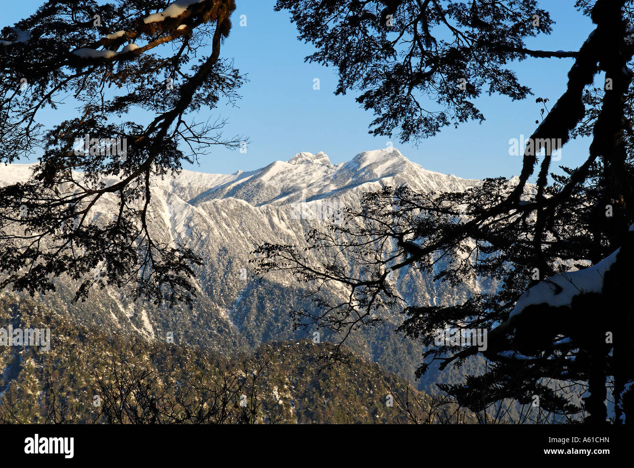 Mountains at Phon Kan Razi National Park, Kachin State, northern Myanmar Stock Photo Alamy